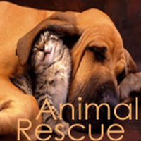American Society For The Prevention Of Cruelty To Animals Animal Rescue Wiki Fandom