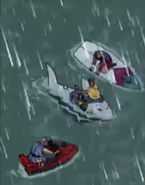 Mako with Sandy Beach and Gil Gripper with Kev on his back after he rescued him