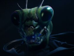 Hooded Mantid