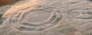 Crop circle created by Harry in "Harry, a Parent." The symbol on the right stands for his middle finger.