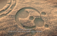 Same crop circles from a different angle, with English translation