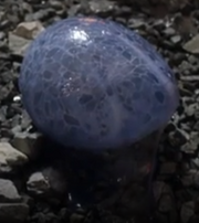 Goliath's Egg