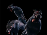 Cerberus