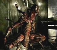 Quimera REmake.jpg (41 kB) Quimera en REmake