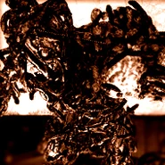 Re5 uroborosmkono.jpg (66 KB)