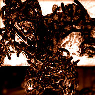 Uroboros Mkono Resident Evil Wiki Fandom Uroboros Mkono Resident Evil Wiki Fandom