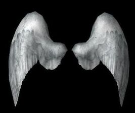 Angel wings