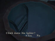 Climb down the ladder? Yes/No