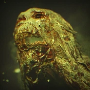 NbDdjYTlNuQ.jpg (60 КБ)