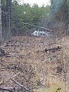 A S.T.A.R.S helicopter landing in the forest.