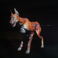 RERES Zombie Dog Skin004