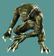 0002026G.jpg