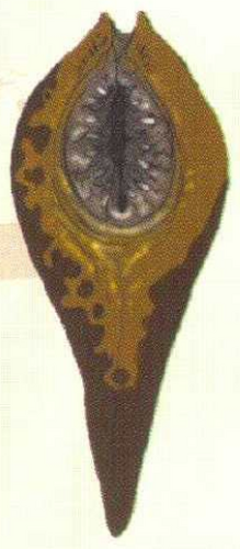 Leech | Resident Evil Wiki | Fandom