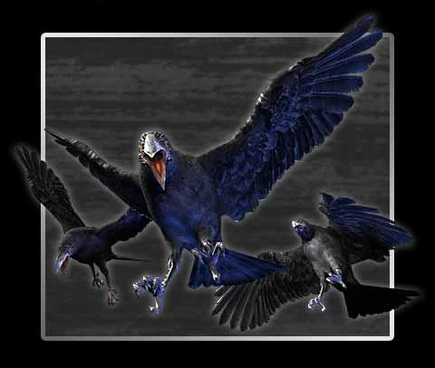 烏 crow FILE 17: Crow | Resident Evil Wiki | Fandom