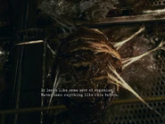 It looks like some sort of organism. Never seen anything like this before.