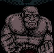Battle sprite of the BOW.