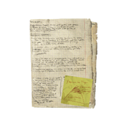 RE4R File Saddler's Animus