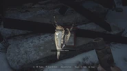 Taking the Necklace Stone