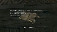 RE5 Nintendo Switch - JPN Village Youth's Diary (3)