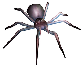 RETDC Baby Spider