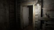 BIOHAZARD 7 resident evil cloud version (2)