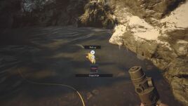 RE8 Finest Fish (1)