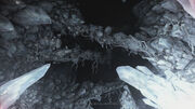Resident Evil Village - dead fungal root