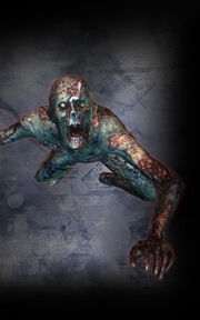 Graveyard Zombie - Darkside Chronicles 1.jpg