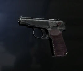Handgun MPM