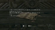 RE5 Nintendo Switch - JPN Village Youth's Diary (11)