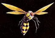Wasp
