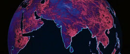 Extinction-Global-Infection