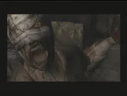 A close-up on one of the sisters' faces