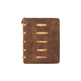 RE4R File Rearing Log