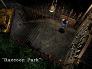 "Racoon Park"