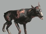 Cerbère