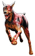 Cerberus in Resident Evil: Deadly Silence