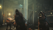Three Cerberuses are tied to a support beam in Resident Evil: Extinction