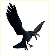 Crow ene.jpg (57 KB)