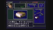Japanese item description