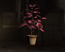 Red Herb (Revelations 2)