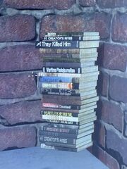 Resident Evil 2 remake - box of books