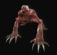 Li.jpeg (5 kB) Licker