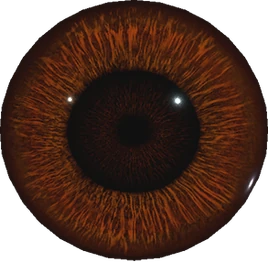 RE8 KeyItem Maroon Eye