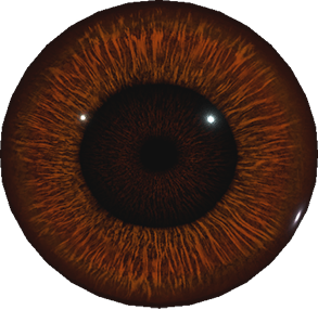 Maroon Eye | Resident Evil Wiki | Fandom
