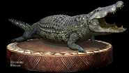 Crocodile figure