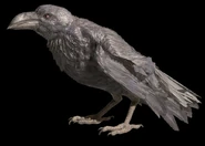 RE4make Crow.jpg (84 KB) Crow in Resident Evil 4 (2023).