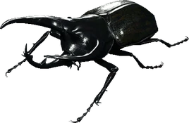 RE4R Rhinoceros Beetle