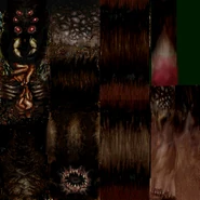 Man spider texture, ripped from November build of 1.5