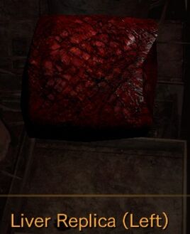 Liver Replica Left